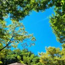 비에이치씨(bhc) 사가정점 이미지