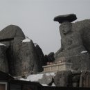 감나무식당 이미지