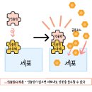 성내동물병원 이미지