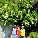 일화농장 이미지