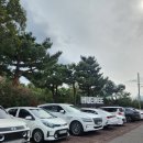 제주도 유채꽃 개화시기 휴애리자연생활공원 유채꽃 축제 명소 (+포토스팟 추천)