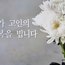 낙원할인마트 이미지