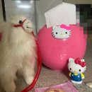 농축산마트 앞 이미지