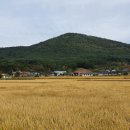 가일로 23 네이버블로그