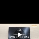 용인대 국가대표 부부태권도 이미지