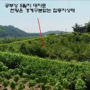 여주-0828 Daum카페