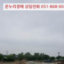 강서구-87 이미지