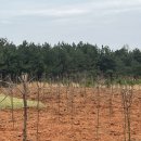 영민 농장 이미지