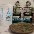 비엔(BN)라이프 | [화산천연가습기 ] 화산숨 자연기화식 가습기로 우리집 촉촉하게 건강하게 ~