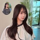 붙임머리