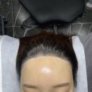 더디자인선