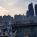 용호동 섶자리 이미지