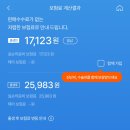 보험 내돈내산 후기 / 태아 실손보험 직접 알아보고 가입한 삼성화재 다이렉트 실비 가입 방법 (+현대...