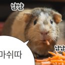 마라라 마라탕&마라샹궈 전문점 이미지
