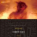 헤세-바로 지금, 나 자신으로 살기 위하여 X 정여울 저자(글)-클래식 클라우드 22 이미지