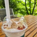 이니스프리신제주연동점 | [7월 여름 제주 1박2일] DAY2 오설록티뮤지엄-중문고등어쌈밥-스타벅스제주중문점-우도막회