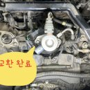 포니카센타 이미지