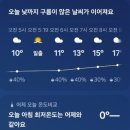25년 5월 이야기, 19일은 참빗살나무가 발산하는 분홍빛 얼싸안고 비인두암 재재재발 항암주사를 잘...