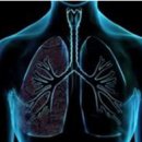 정통 호흡 요가 이미지