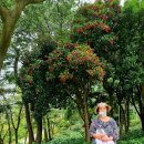 청수동 작업실 이미지