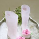 로즈레인 이미지