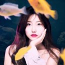 장포토스튜디오 네이버블로그