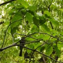 은평-019 이미지