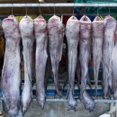 일풍식당 이미지