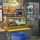 일차3.5숙성고기 | 서울 당산역 맛집 육즙 폭발 일차 3.5 숙성고기