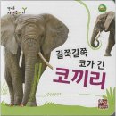 코끼리 쇼핑하우