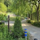 금호지 수변테마공원 이미지