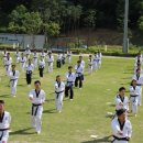 사계절푸른솔 태권도 이미지