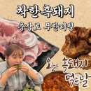착한고기집 - 의왕시 부곡중앙로 9 | [광주 동구] 충장로 무한리필 추천 광주에서 두툼한 흑돼지를!? / 착한흑돼지 충장로 무한리필 고기집 후기