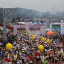 합천불고기 이미지