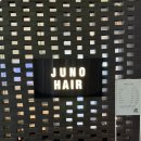 테라헤어 - 춘천시 | 송파 미용실 추천 | 준오헤어 문정역테라타워점 이루 디자이너 염색 후기