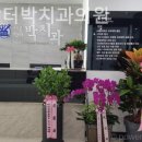 닥터박치과의원 네이버블로그