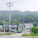 금덕 1 티스토리