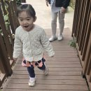 농업기술센터(허브장미심기) 다녀왔어요 ^^~ 이미지