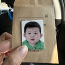 스튜디오조히 이미지