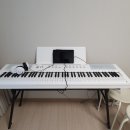 왕초보 클래식기타 | 보면 볼수록 흐뭇한 쇼핑템