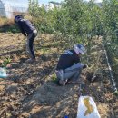 일심2로 R 이미지