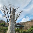 갈산리석불입상 | 이천 갈산리 석불입상 영원사 내에 있는 고려시대 석불상