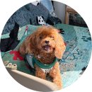 창녕스포츠파크 | [창녕 마라톤] 온천 무료 티켓 주는 제20회 창녕 부곡온천 마라톤대회 기념품 코스 기록조회 일정 창녕...