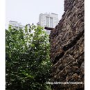 장평포로수용소 이미지