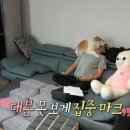 성훈세탁 이미지