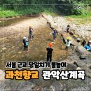 모산로등산로 공중화장실 | 서울 근교 당일치기 물놀이 과천향교 관악산 계곡 - 아이와 가기 좋은 여름휴가 장소 주차 명당자리 추천