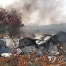 한씨농장 이미지