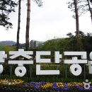 새 단장한 장충체육관에서 족발골목까지 이미지