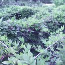 병현농장 이미지