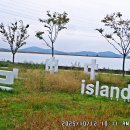 반달섬1로 Daum카페